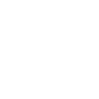 logo-birdag-footer_2019