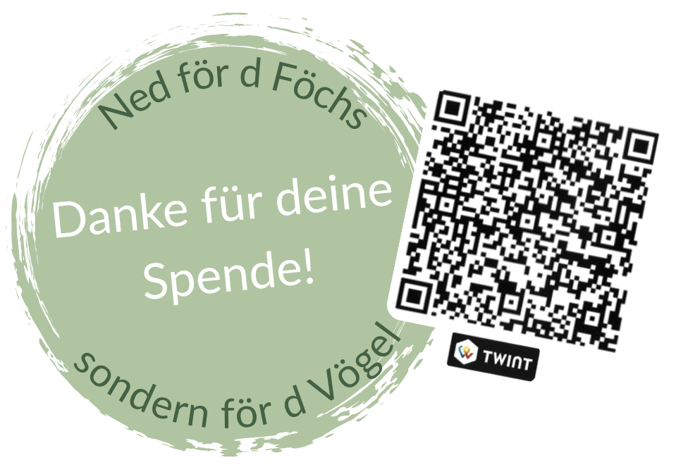 Twint-QR-Code für Spenden