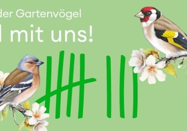 Webbanner_BirdLife_SdG